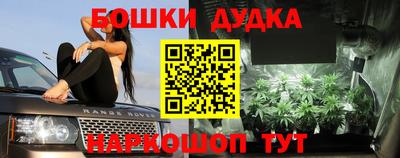 индика Пыть-Ях