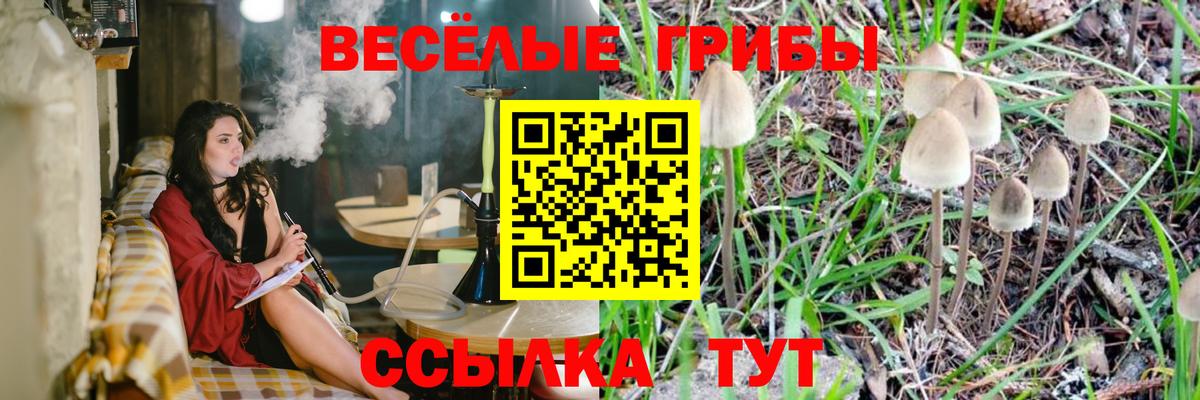 Галлюциногенные грибы ЛСД  Галлюциногенные грибы прущие грибы  Вход с VPN  Ревда 